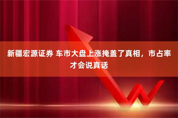 新疆宏源证券 车市大盘上涨掩盖了真相，市占率才会说真话